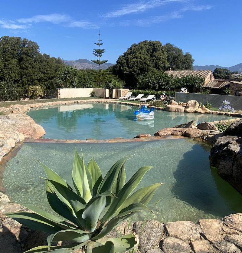 Maison Le Citronnier Avec Piscine - Domaine E Case Di Cuttoli エクステリア 写真
