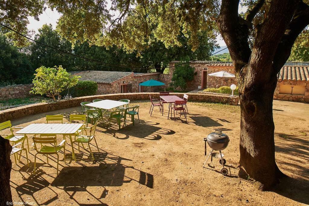 Maison Le Citronnier Avec Piscine - Domaine E Case Di Cuttoli エクステリア 写真